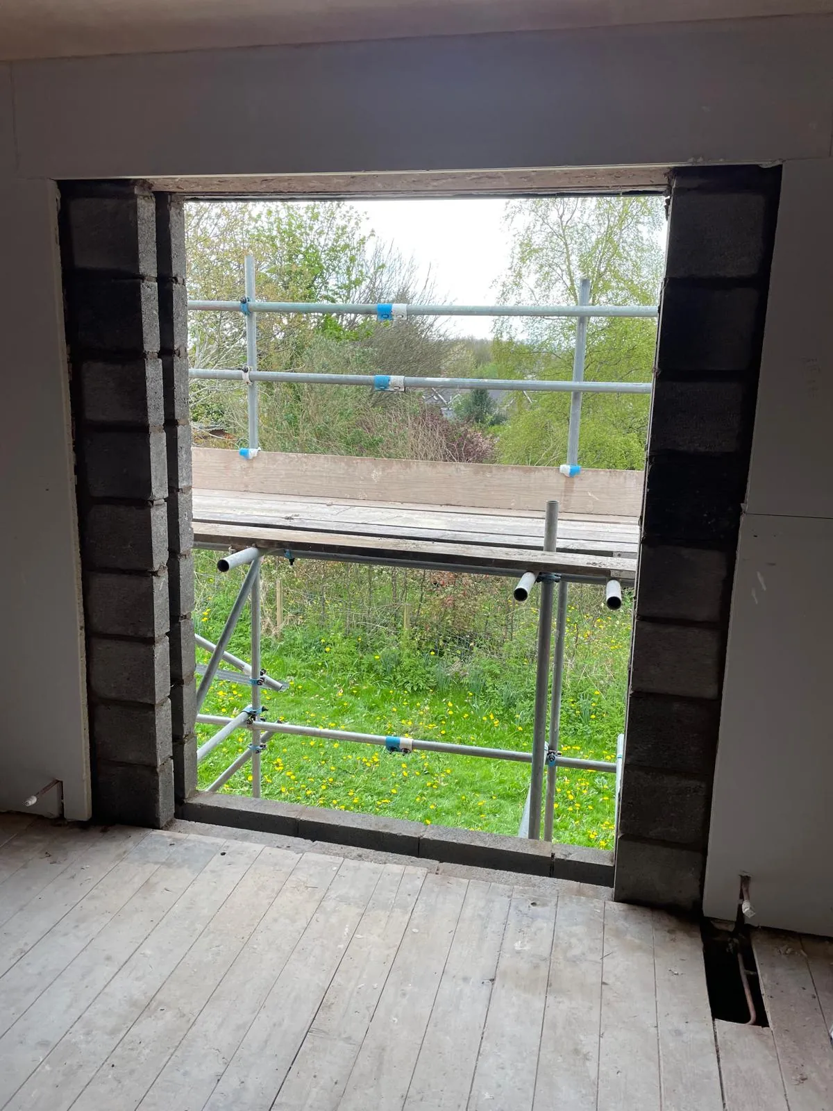Garden doors in the extension